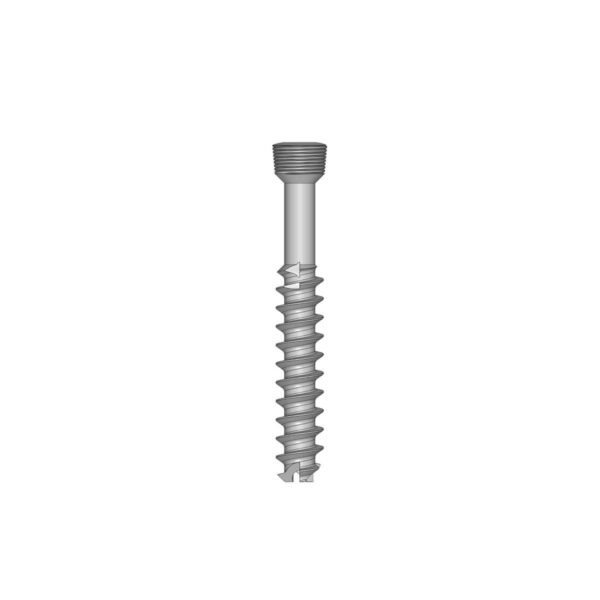 Locking 7.0mm Cannulated Cancellous Screw 32mm Thread (Use with Locking Proximal Femur Plate)