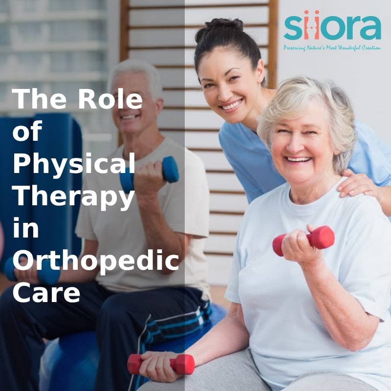 orthopedic physical therapy