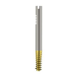 Intertan Nail Cannulated LAG Screw – Dia. 11mm – Titanium