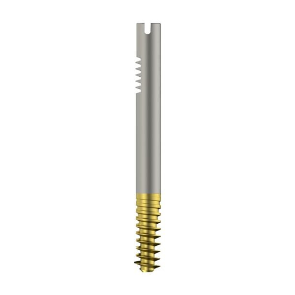 Intertan Nail Cannulated LAG Screw - Dia. 11mm - Titanium