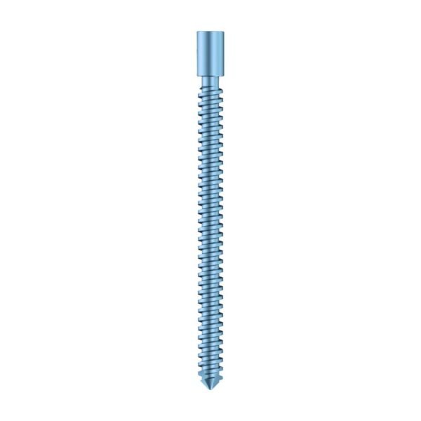 Intertan Nail Compression Screw - Dia. 7.0mm - Titanium