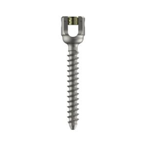 Monoaxial R-Line Pedicle Screw