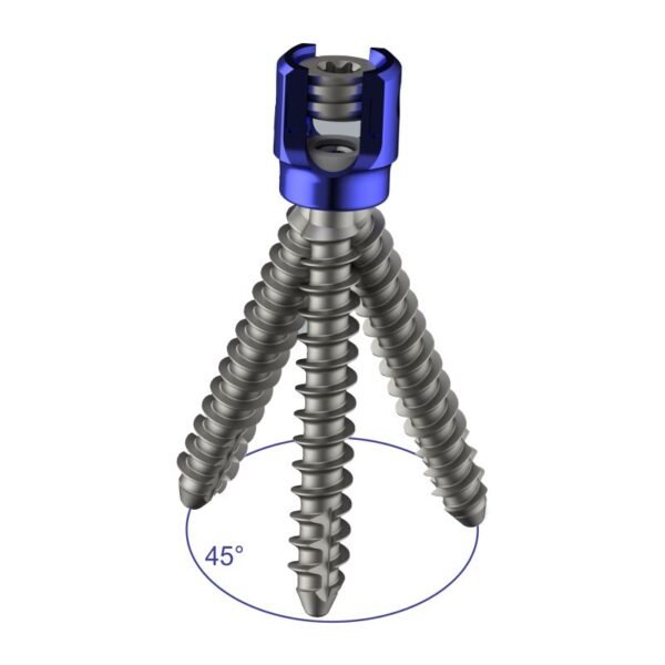 Polyaxial R-Line Pedicle Screw