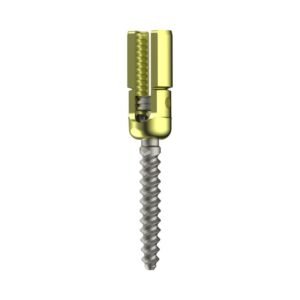 Polyaxial R-Line Reduction Pedicle Screw