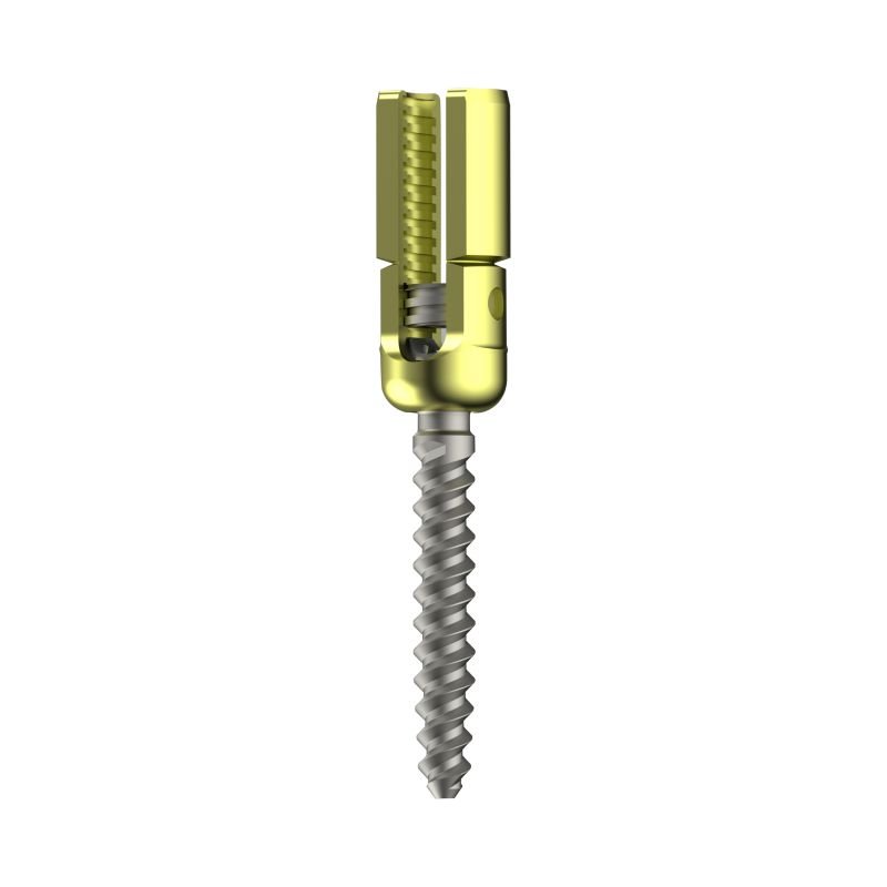 Polyaxial R-Line Reduction Pedicle Screw