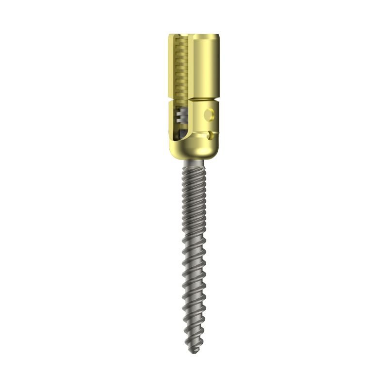 Polyaxial S-Line Reduction Dual Thread Pedicle Screw