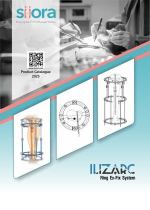 llizarc catalog cover