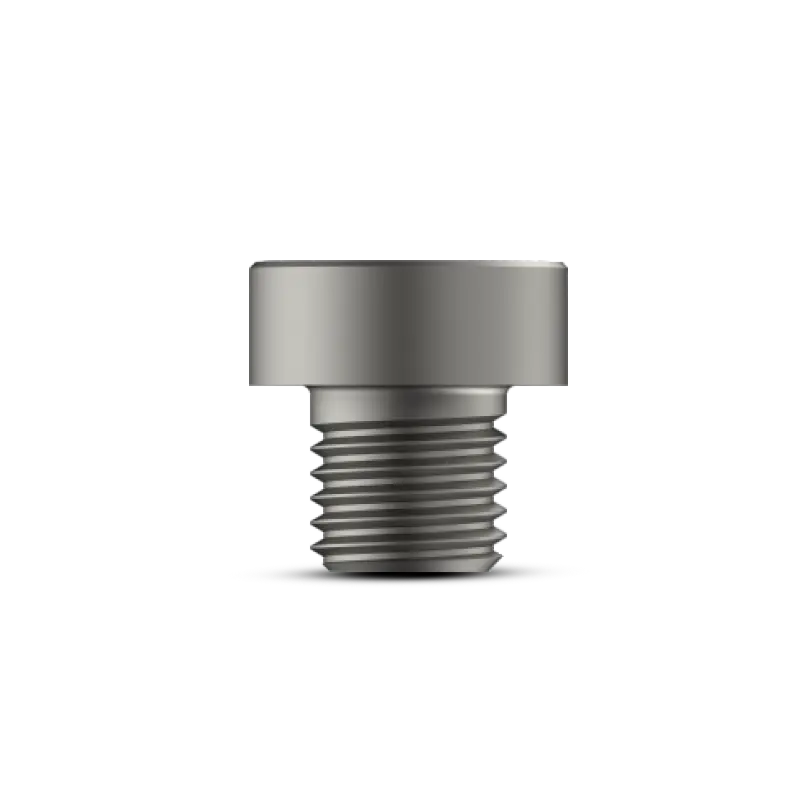 End Cap for Expert Femur Nail - Titanium