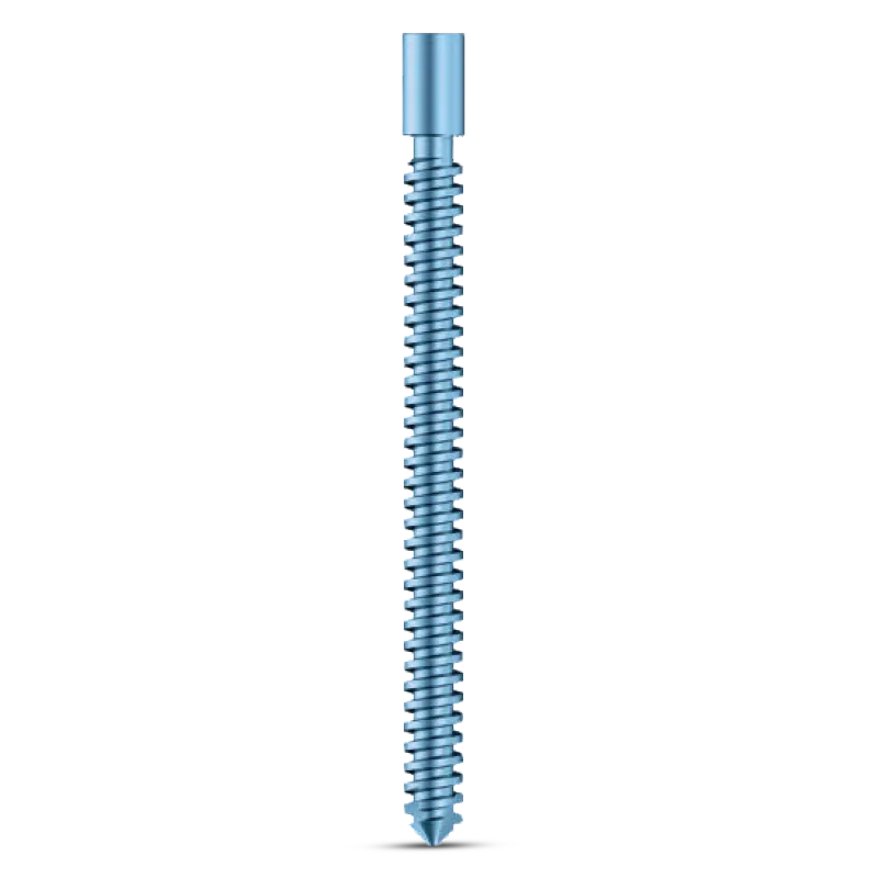 Intertan Nail Compression Screw – Dia. 7.0mm – Titanium