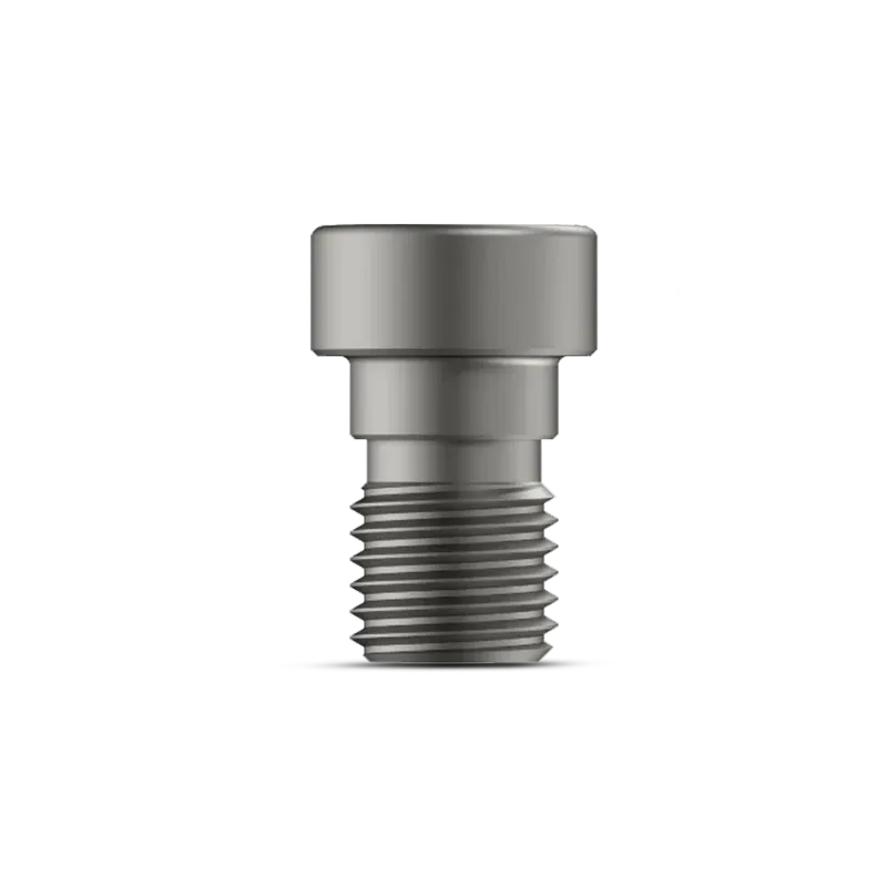 End Cap for Expert Tibia Nail -Titanium