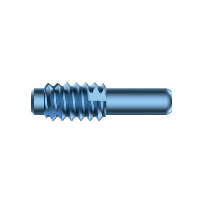 End Cap for Titanium Elastic Nail