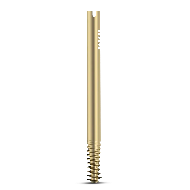 DUROFIX™ Intertan Nail Cannulated LAG Screw – Dia. 11mm – Titanium