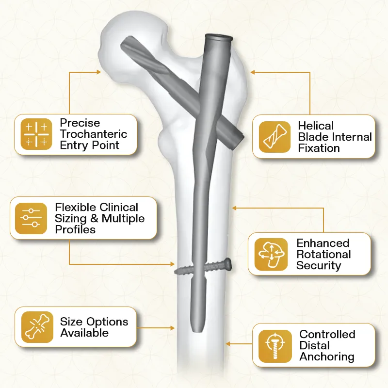 Key Features of PFNA
