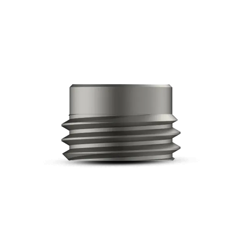 Tarsofix™ Inner Set Screw for Ankle Nail – Titanium