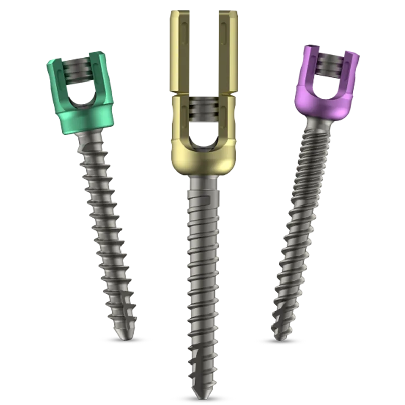 pedicle