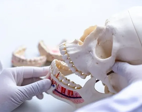 Advanced Maxillofacial Implants & Instruments for Improved Surgical Outcomes and Quicker Recovery