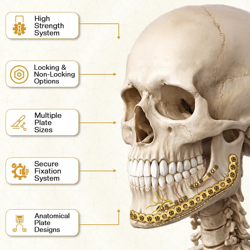 Key Features of CMF Locking Mandibular Reconstruction 2.4mm Plates and screws