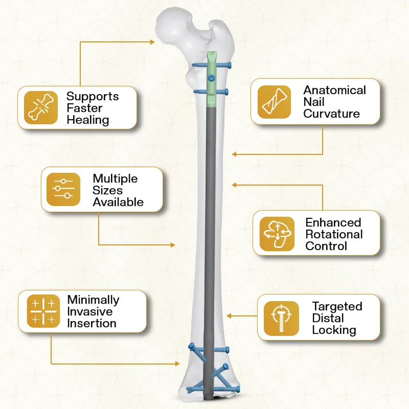 Key Features of Retrograde Femoral