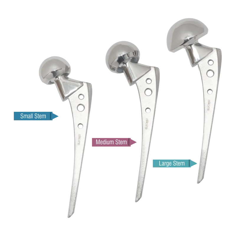 Endure Hip Bipolar Prosthesis – Fenestrated – Sterile