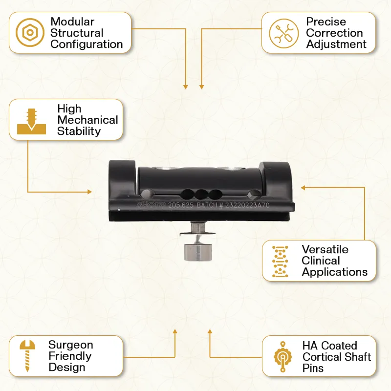 Key Features of Our Limb Reconstruction System